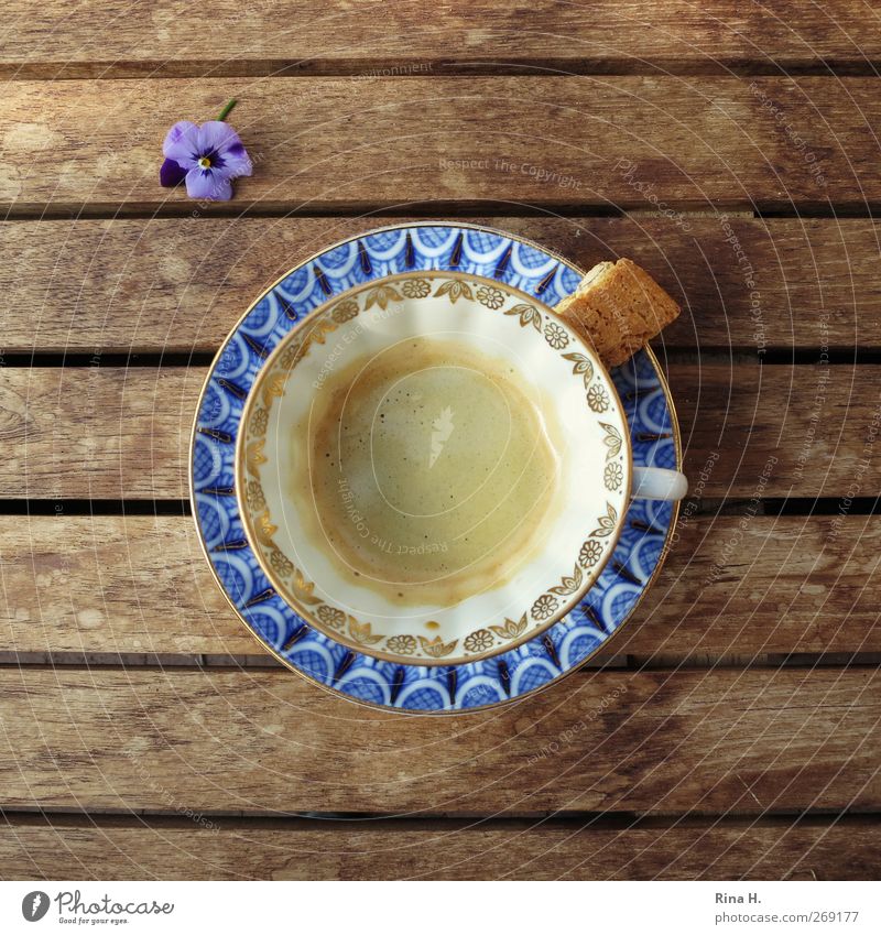 Kaffeepause Teigwaren Backwaren Süßwaren Heißgetränk Geschirr Tasse Stil Häusliches Leben Blüte Erholung blau Keks Holztisch Farbfoto Außenaufnahme Menschenleer