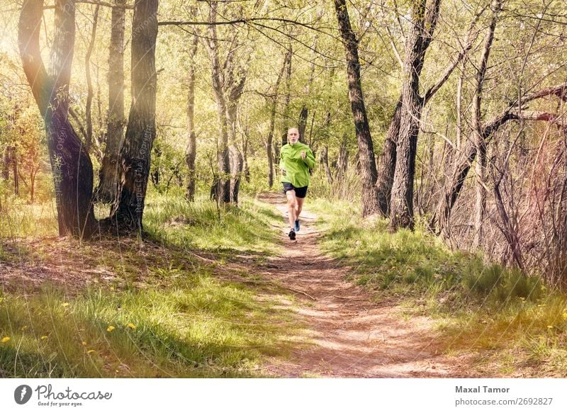 Senior Mann beim Laufen im Wald Lifestyle Glück Freizeit & Hobby Sommer Sport Joggen Mensch Erwachsene Natur Baum Park alt Fitness grün 60s Aktion Kaukasier
