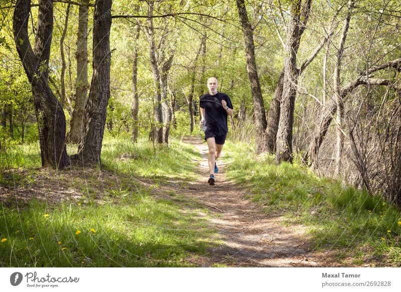 Senior Mann beim Laufen im Wald Lifestyle Glück Freizeit & Hobby Sommer Sport Joggen Mensch Erwachsene Natur Park alt Fitness schwarz 60s Aktion Kaukasier üben