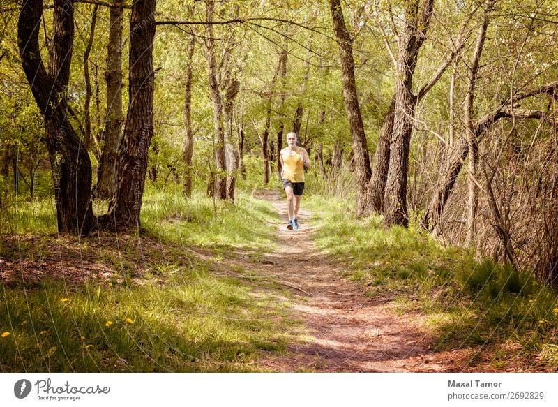 Senior Mann beim Laufen im Wald Lifestyle Glück Freizeit & Hobby Sommer Sport Joggen Mensch Erwachsene Natur Baum Park alt Fitness gelb 60s Aktion Kaukasier