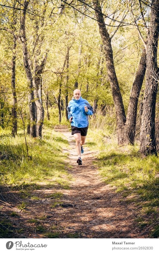Senior Mann beim Laufen im Wald Lifestyle Glück Freizeit & Hobby Sommer Sport Joggen Mensch Erwachsene Natur Baum Park alt Fitness blau 60s Aktion Kaukasier