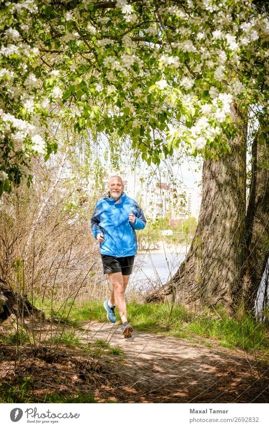 Senior Mann beim Laufen im Wald Apfel Lifestyle Glück Freizeit & Hobby Sommer Sport Joggen Mensch Erwachsene Natur Baum Blume Blüte Park alt Fitness blau 60s