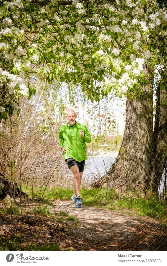 Senior Mann beim Laufen im Wald Apfel Lifestyle Glück Freizeit & Hobby Sommer Sport Joggen Mensch Erwachsene Natur Baum Blume Blüte Park alt Fitness grün 60s