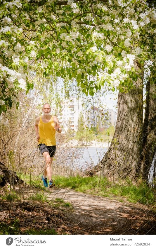 Senior Mann beim Laufen im Wald Apfel Lifestyle Glück Freizeit & Hobby Sommer Sport Joggen Mensch Erwachsene Natur Baum Blume Blüte Park alt Fitness gelb 60s