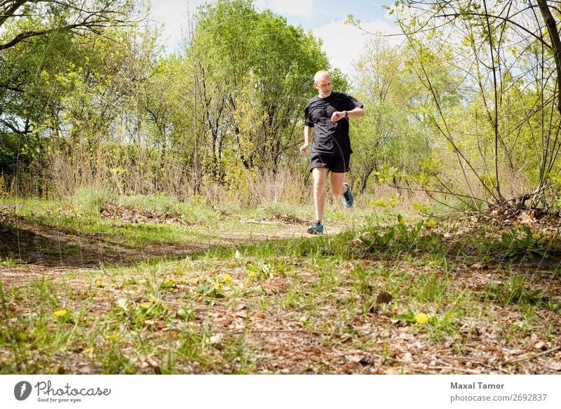 Senior Mann beim Laufen im Wald Lifestyle Glück Freizeit & Hobby Sommer Sport Joggen Mensch Erwachsene Natur Park alt beobachten Fitness 60s Aktion Kaukasier