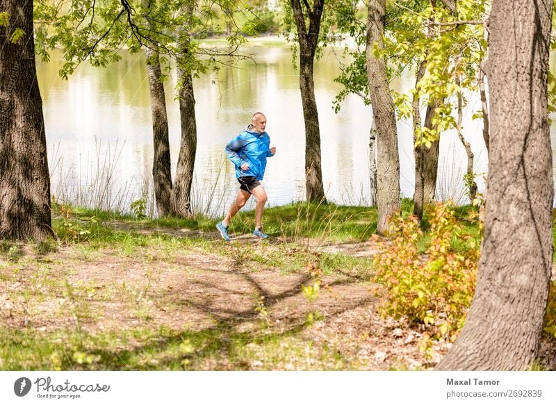 Senior Mann beim Laufen im Wald Lifestyle Glück Freizeit & Hobby Sommer Sport Joggen Mensch Erwachsene Natur Park See Fluss alt Fitness 60s Aktion Kaukasier
