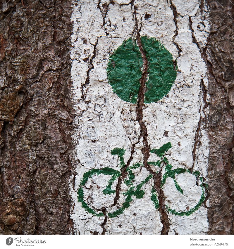 Freigabe Fahrradtour Fahrradfahren Baum Verkehrswege Wege & Pfade Zeichen Schilder & Markierungen braun grün weiß Mobilität Piktogramm Fahrradweg Radwandern