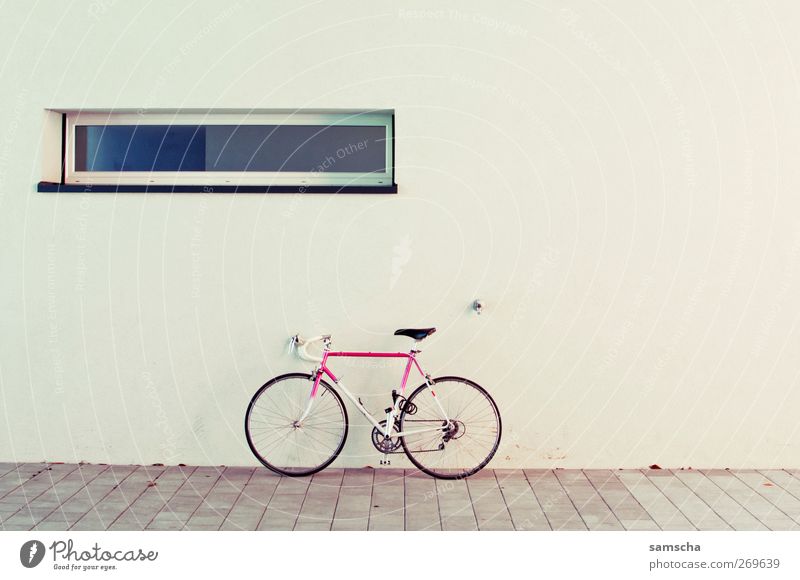 Let's ride sportlich Fahrrad Mauer Wand Fassade stehen rosa Mobilität Fenster parken Rennsport Farbfoto Außenaufnahme Menschenleer Textfreiraum rechts