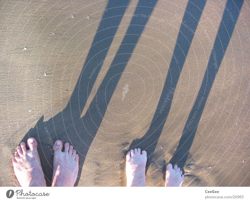 Bein-Nah Strand Meer Zehen nass feucht dreckig Wasser Sand Fuß Schatten Beine Barfuß