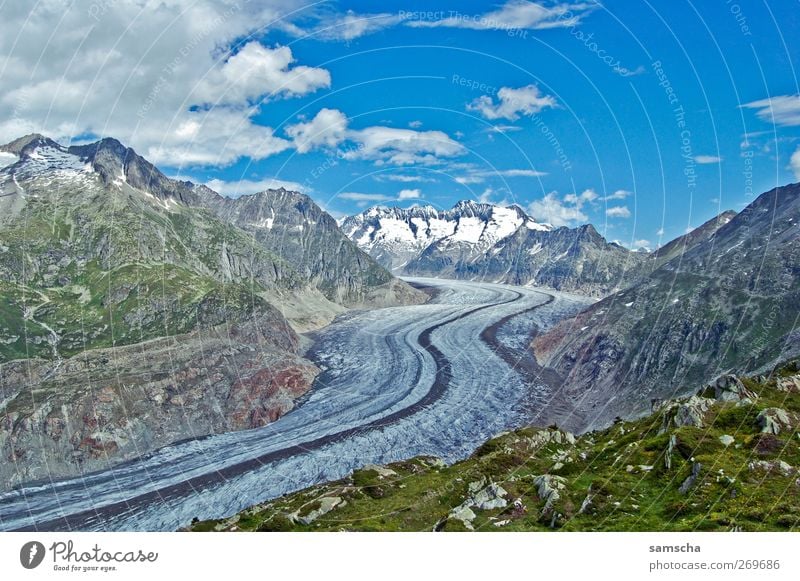 Gletscherwanderung Umwelt Natur Landschaft Pflanze Himmel Wolken Herbst Klima Klimawandel Schönes Wetter Eis Frost Schnee Felsen Alpen Berge u. Gebirge Gipfel