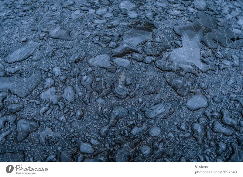 !trash! 2019 | eingefroren Wasser Wassertropfen Eis Frost kalt blau Minusgrade Urwald abstrakt Winter Menschenleer Textfreiraum Mitte