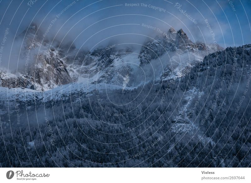 Chamonix II Schnee Schneefall Berge u. Gebirge Wolken Alpen Gipfel Schneebedeckte Gipfel kalt Frankreich Bergkamm Bergkette Arve Farbfoto Silhouette blau Wald