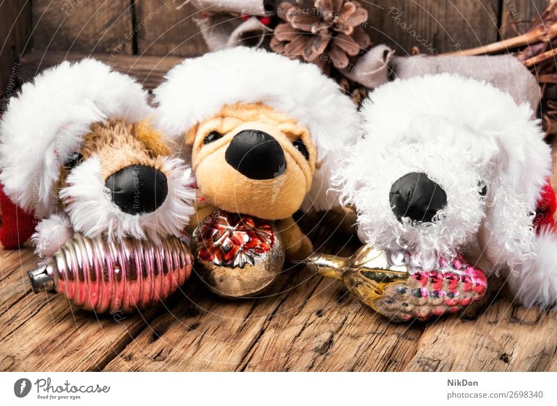 Weihnachtsdekoration mit Spielzeughund Feiertag Hund Welpe Weihnachten Dekoration & Verzierung Geschenk neu Winter Jahr Dezember Kiefer Konzept Vorabend Tanne