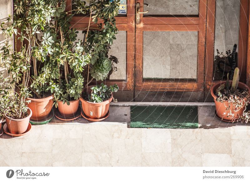 Mediterraner Eingangsbereich Grünpflanze Fenster Tür Fußmatte alt braun Blumentopf Marmorboden Fensterscheibe mediterran Farbfoto Außenaufnahme Detailaufnahme