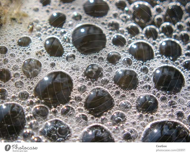 Bläschen Reflexion & Spiegelung Schaum rund dunkel schwarz nass feucht Blase Wasser Wassertropfen aufgewirbelt Natur Nahaufnahme