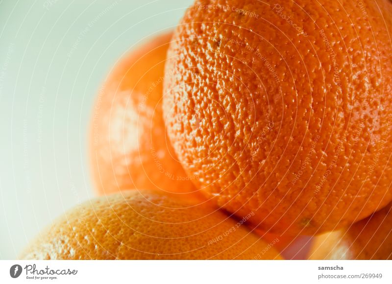 Vitamin C Lebensmittel Frucht Orange Ernährung Vegetarische Ernährung Diät Gesundheit Gesunde Ernährung Fitness frisch gut kalt lecker natürlich saftig süß