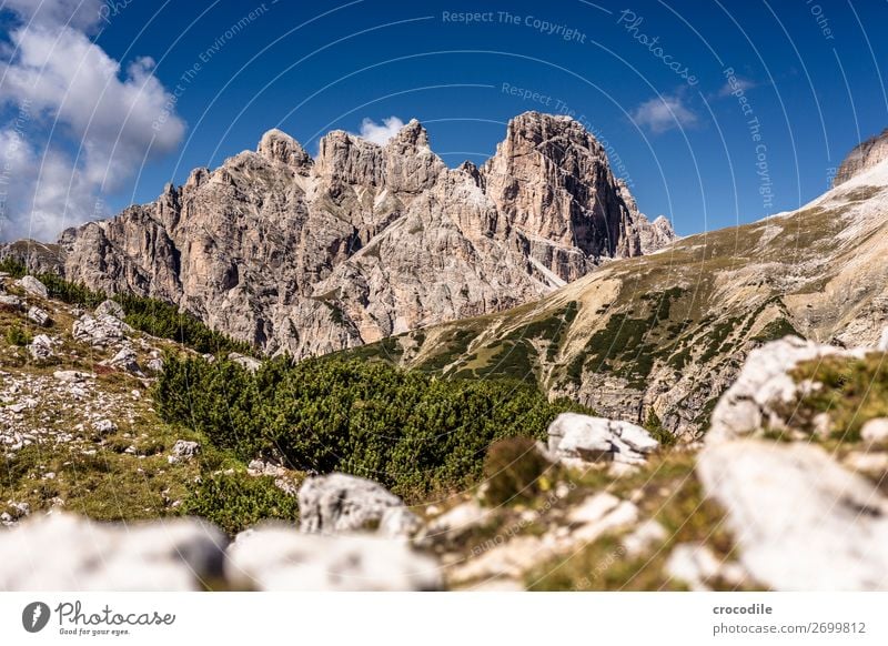 # 832 Drei Zinnen Dolomiten Sextener Dolomiten Weltkulturerbe Hochebene Farbfoto wandern Fußweg Gipfel Bergsteigen Alpen Berge u. Gebirge Schönes Wetter Wiese