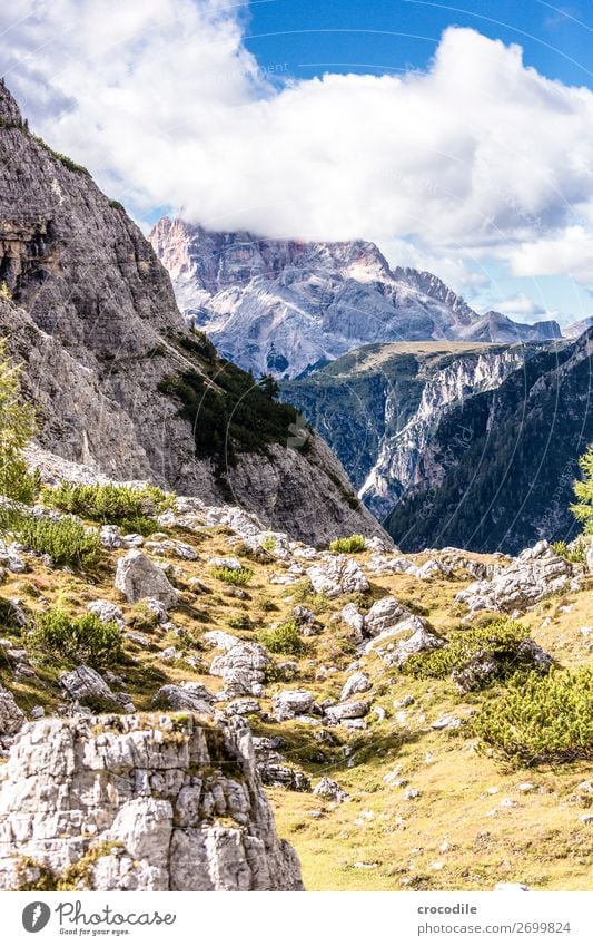 Dolomiten Drei Zinnen Sextener Dolomiten Weltkulturerbe Hochebene Farbfoto wandern Fußweg Gipfel Bergsteigen Alpen Berge u. Gebirge Schönes Wetter Wiese Sommer