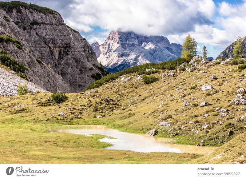 # 826 Drei Zinnen Dolomiten Sextener Dolomiten Weltkulturerbe Hochebene Farbfoto wandern Fußweg Gipfel Bergsteigen Alpen Berge u. Gebirge Schönes Wetter Wiese