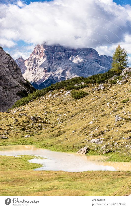 # 825 Drei Zinnen Dolomiten Sextener Dolomiten Weltkulturerbe Hochebene Farbfoto wandern Fußweg Gipfel Bergsteigen Alpen Berge u. Gebirge Schönes Wetter Wiese