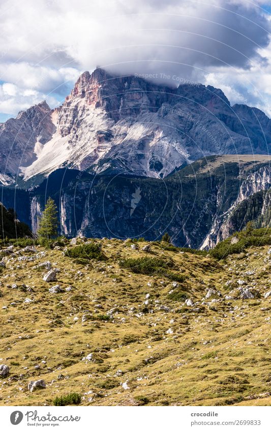 # 820 Drei Zinnen Dolomiten Sextener Dolomiten Weltkulturerbe Hochebene Farbfoto wandern Fußweg Gipfel Bergsteigen Alpen Berge u. Gebirge Schönes Wetter Wiese