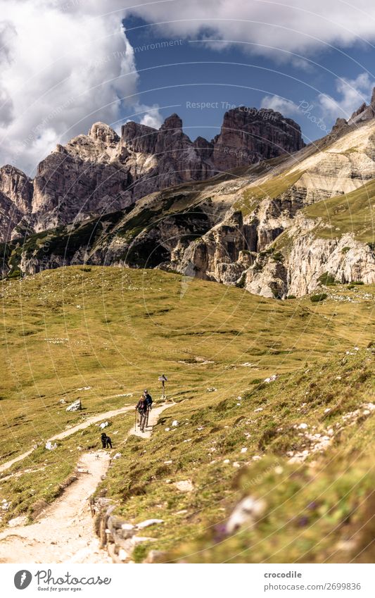 # 818 Drei Zinnen Dolomiten Sextener Dolomiten Weltkulturerbe Hochebene Farbfoto wandern Fußweg Gipfel Bergsteigen Alpen Berge u. Gebirge Schönes Wetter Wiese