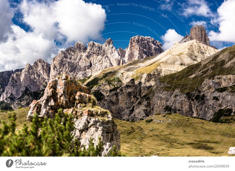 # 790 Drei Zinnen Dolomiten Sextener Dolomiten Weltkulturerbe Hochebene Farbfoto wandern Fußweg Gipfel Bergsteigen Alpen Berge u. Gebirge Schönes Wetter Wiese