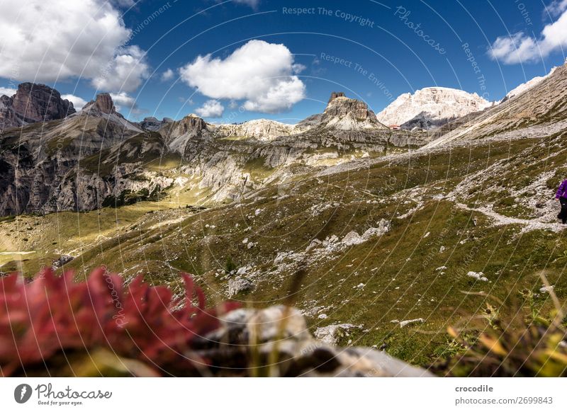 # 816 Drei Zinnen Dolomiten Sextener Dolomiten Weltkulturerbe Hochebene Farbfoto wandern Fußweg Gipfel Bergsteigen Alpen Berge u. Gebirge Schönes Wetter Wiese