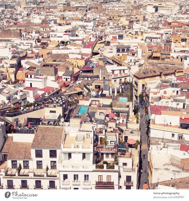 Mosaico [XLIV] Sevilla Andalusien Spanien Stadt Stadtzentrum Fußgängerzone bevölkert überbevölkert Haus Gebäude Architektur Dach Straße Wege & Pfade