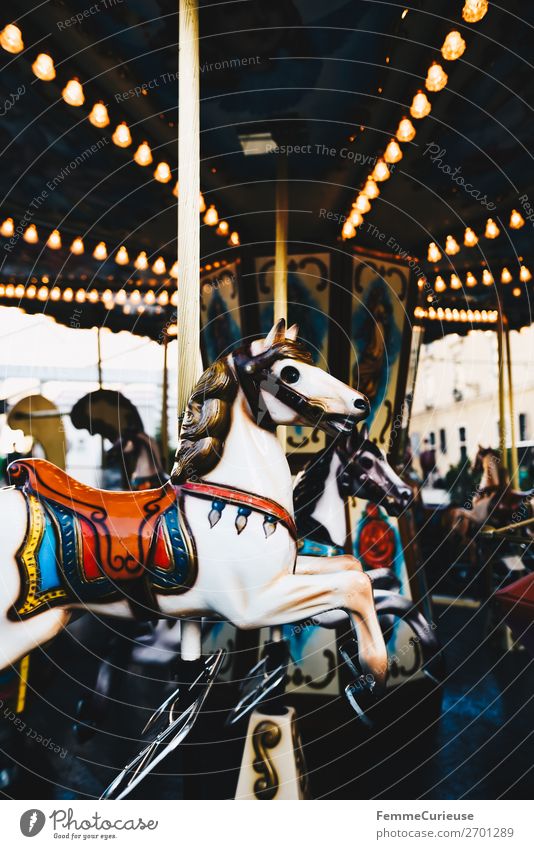 Illuminated horse carousel Freizeit & Hobby Bewegung Karussellpferd Jahrmarkt drehen Beleuchtung Attraktion Farbfoto Außenaufnahme Kunstlicht Zentralperspektive
