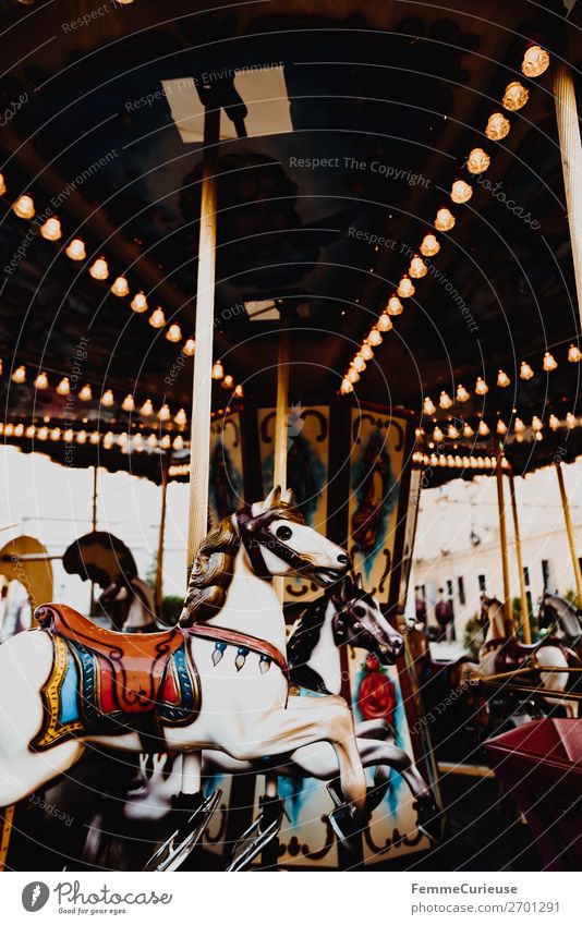 Illuminated horse carousel Freizeit & Hobby Bewegung Karussellpferd Attraktion Jahrmarkt drehen Beleuchtung Glühbirne Farbfoto Außenaufnahme Kunstlicht