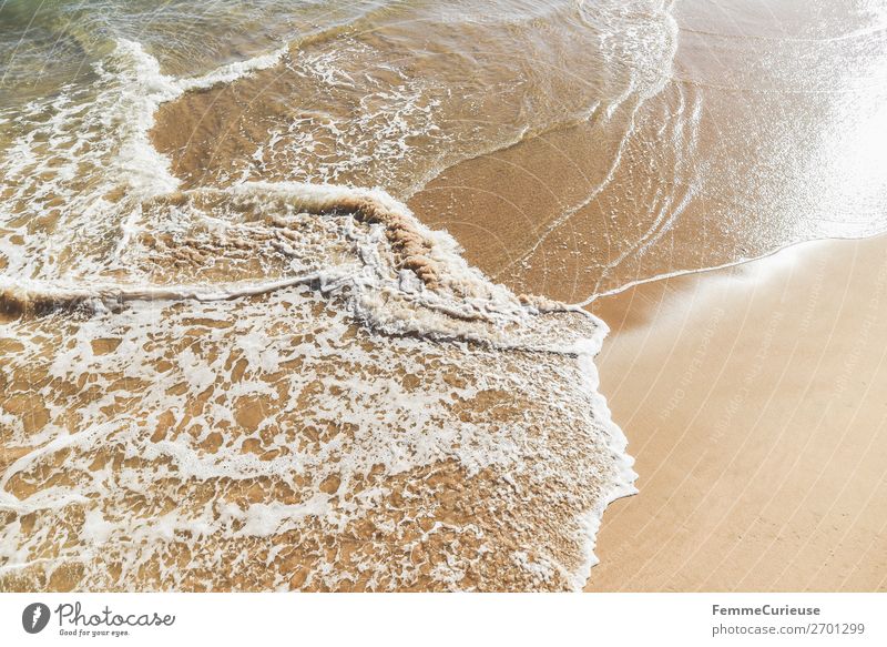 Foaming water of the Atlantic Ocean at a sandy beach Natur Ferien & Urlaub & Reisen Sandstrand Atlantik Meer Wasser Urlaubsfoto Urlaubsstimmung Reisefotografie