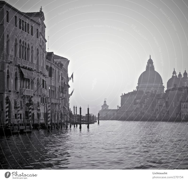 Schwarze Gondeln Ferien & Urlaub & Reisen Tourismus Städtereise Wasser Wellen Venedig Veneto Italien Europa Hafenstadt Altstadt Menschenleer Kirche Bauwerk