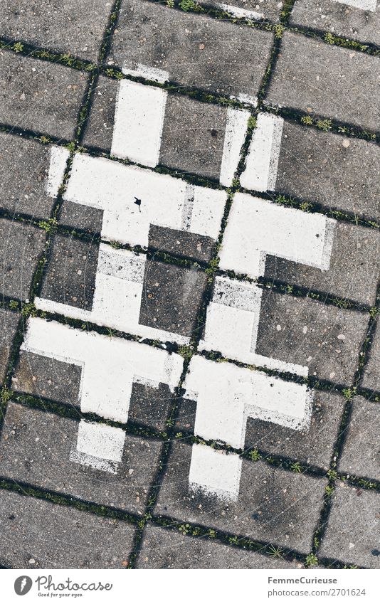 Hashtag sign on cobblestones Zeichen Schriftzeichen Kommunizieren # Symbole & Metaphern Bürgersteig Fußweg Pflastersteine weiß Doppelkreuz