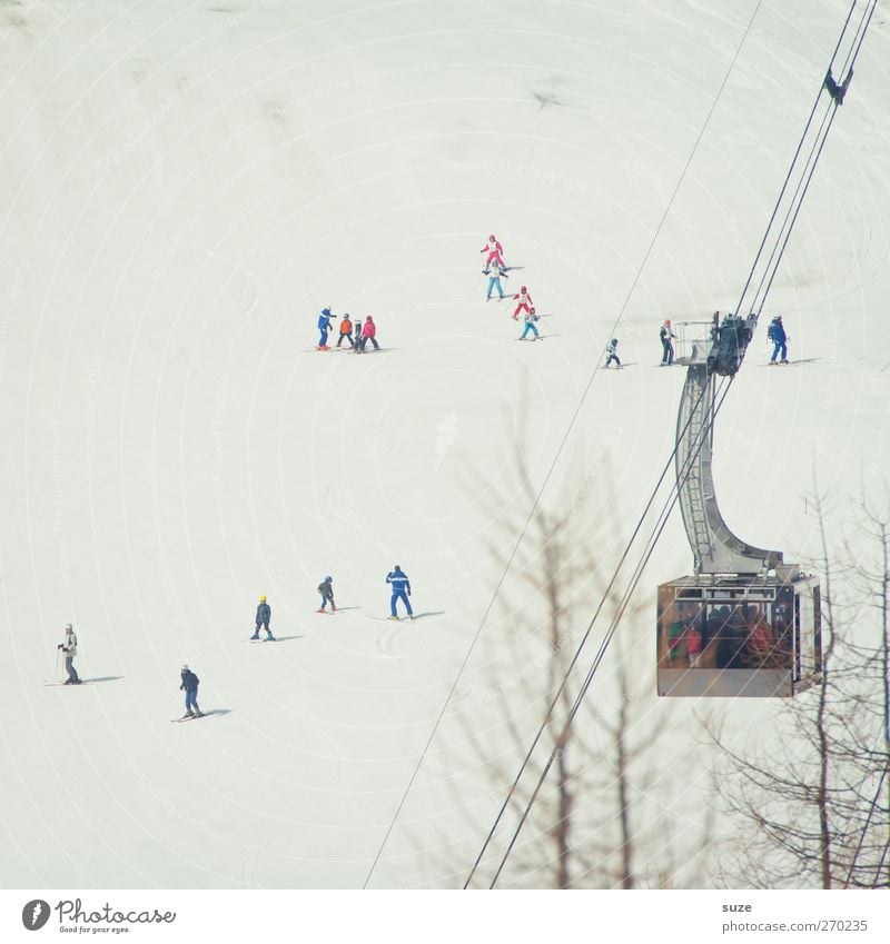 Skihasis Freizeit & Hobby Ferien & Urlaub & Reisen Tourismus Winterurlaub Skifahren Mensch Menschenmenge Umwelt Natur Landschaft Urelemente Schnee Alpen