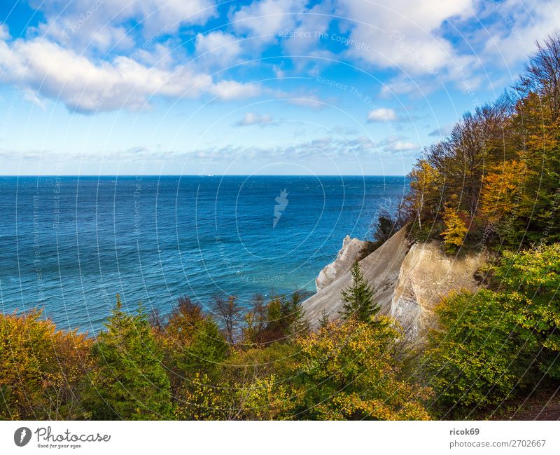Ostseeküste auf der Insel Moen in Dänemark Erholung Ferien & Urlaub & Reisen Tourismus Strand Meer Natur Landschaft Wasser Wolken Herbst Baum Wald Felsen Küste