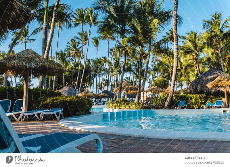 Bavaro Strände in Punta Cana, Dominikanische Republik Erholung Spa Ferien & Urlaub & Reisen Tourismus Sommer Strand Meer Insel Umwelt Natur Sand Baum Blatt