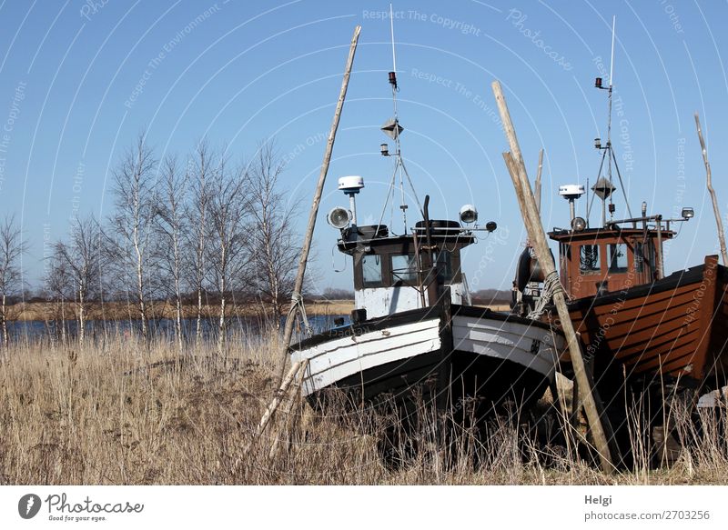 zwei alte Fischerboote aus Holz stehen im Gras neben einem Gewässer Umwelt Natur Landschaft Pflanze Wasser Wolkenloser Himmel Winter Schönes Wetter Baum Insel