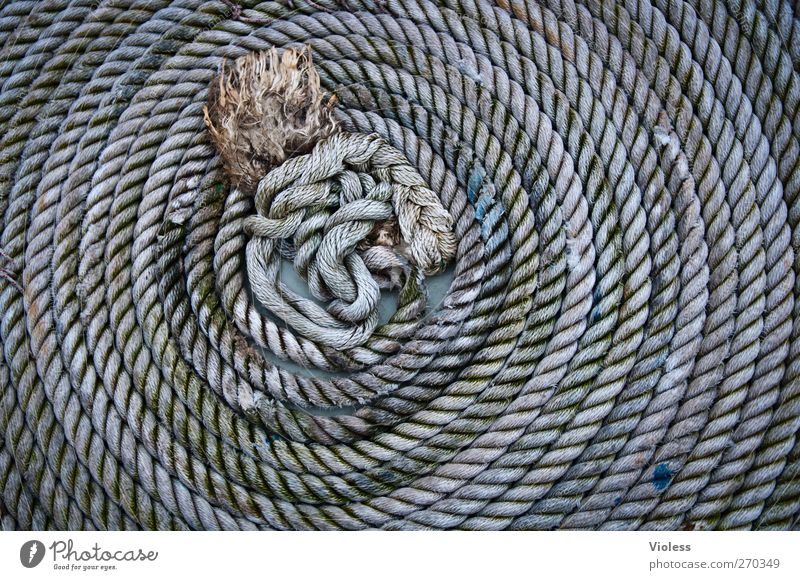 Hiddensee | an der langen leine ..... Schifffahrt Hafen Seil Tauziehen grau Knoten aufgerollt Farbfoto Außenaufnahme