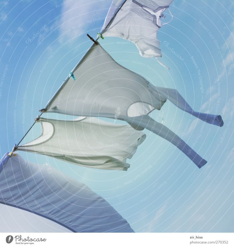 Hiddensee | Der weiße Riese winkt Ferien & Urlaub & Reisen Himmel T-Shirt Hemd Unterwäsche fliegen hängen leuchten schaukeln ästhetisch hell trendy historisch