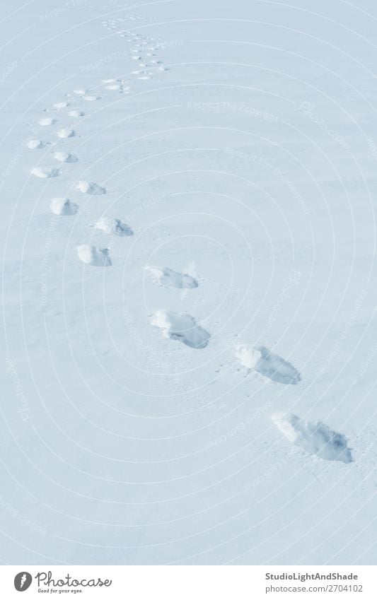 Fußspuren im verschneiten Feld Winter Schnee Mensch Natur Wege & Pfade Fährte frisch natürlich weiß Fußstapfen Spur Spuren Bahn tief kalt Hintergrund Konsistenz