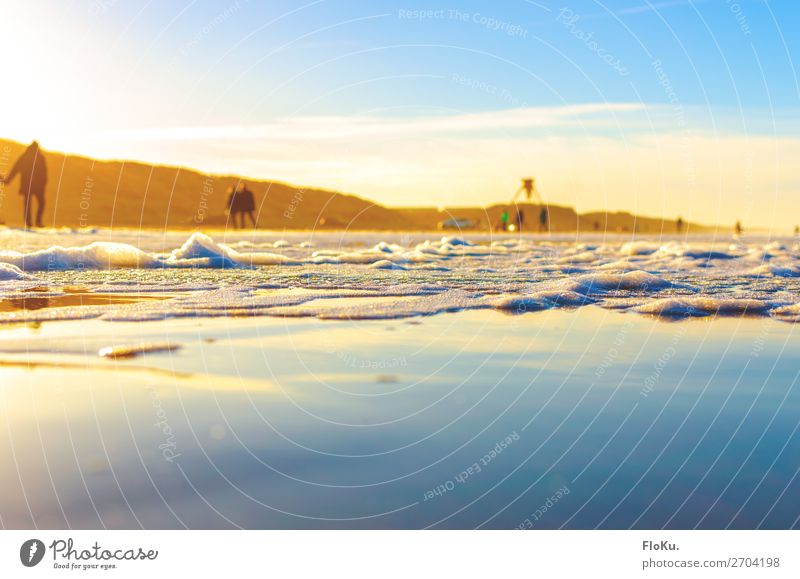 Dänische Küste in der Wintersonne Ferien & Urlaub & Reisen Tourismus Ausflug Strand Meer Umwelt Natur Urelemente Erde Wasser Himmel Sonne Sonnenlicht