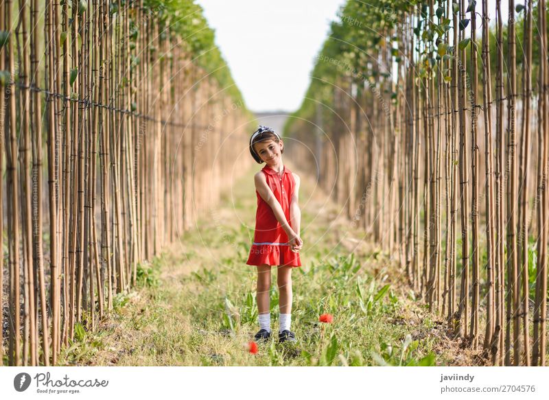 Kleines Mädchen, das auf einem Feld in der Natur spazieren geht und ein schönes Kleid trägt. Lifestyle Freude Glück Spielen Sommer Kind Mensch feminin Frau
