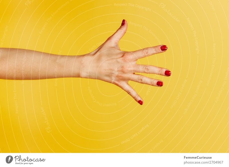 Forearm and hand with spread fingers against a yellow background feminin Frau Erwachsene 1 Mensch 18-30 Jahre Jugendliche 30-45 Jahre Kreativität Unterarm Hand