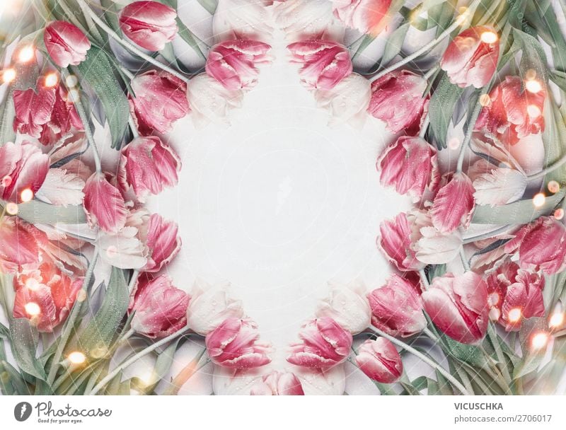 Tulpen Rahmen Hintergrund kaufen Stil Design Dekoration & Verzierung Feste & Feiern Muttertag Ostern Natur Pflanze Frühling Blume Blumenstrauß rosa
