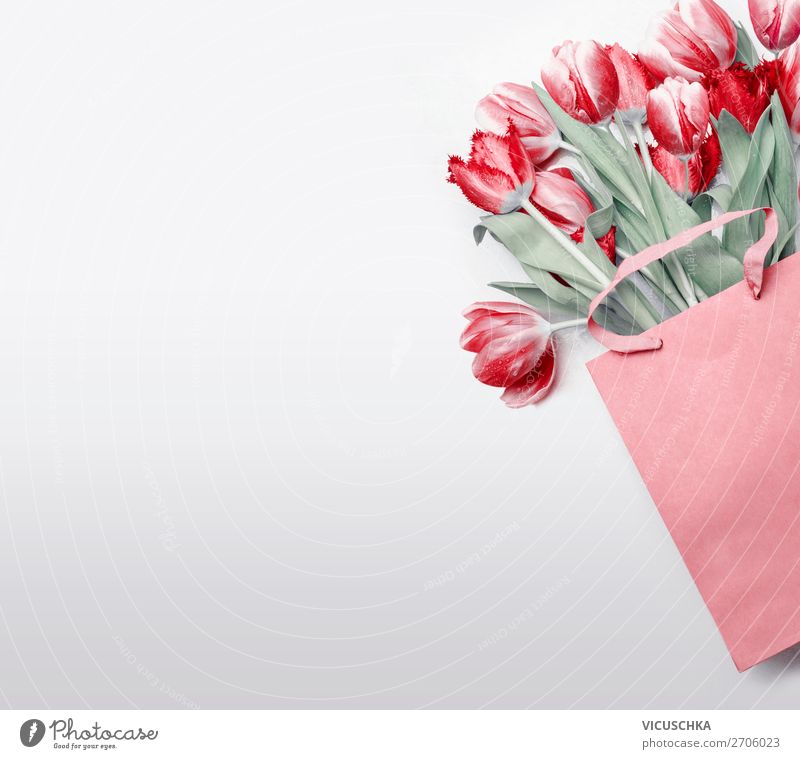 Rote Tulpen in Geschenktüte kaufen Stil Design Party Veranstaltung Feste & Feiern Valentinstag Muttertag Geburtstag Natur Pflanze Frühling Blume