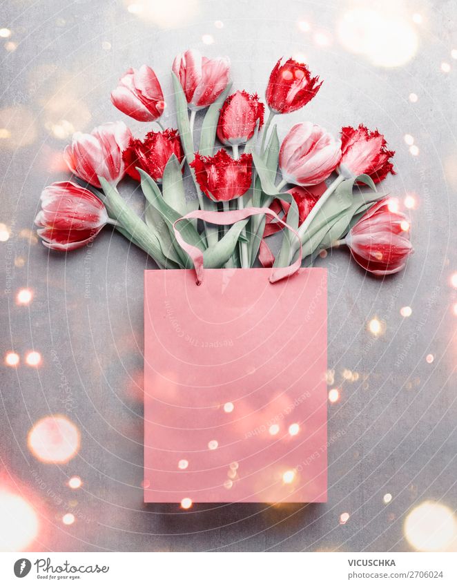 Rote Tulpen in der Geschenktüte. kaufen Design Feste & Feiern Valentinstag Muttertag Geburtstag Natur Pflanze Frühling Blume Dekoration & Verzierung