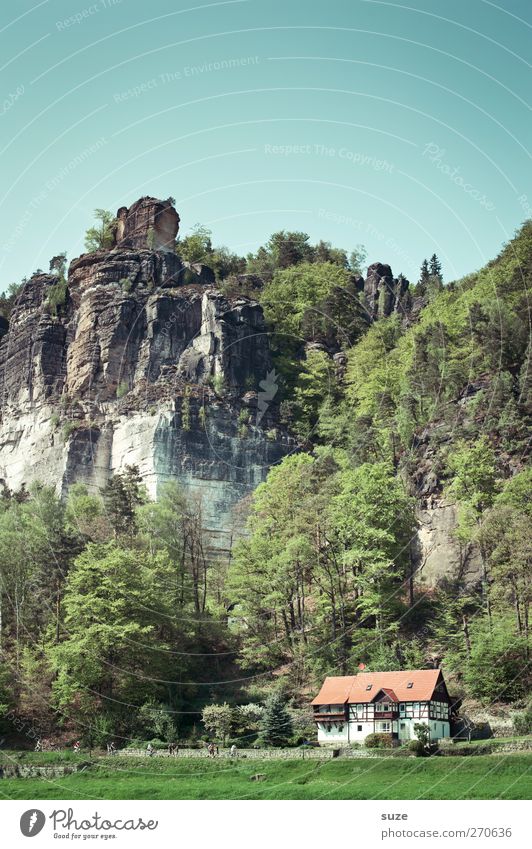 Elbeblick Freizeit & Hobby Ferien & Urlaub & Reisen Tourismus Haus Umwelt Natur Landschaft Urelemente Himmel Frühling Schönes Wetter Baum Wiese Wald Felsen