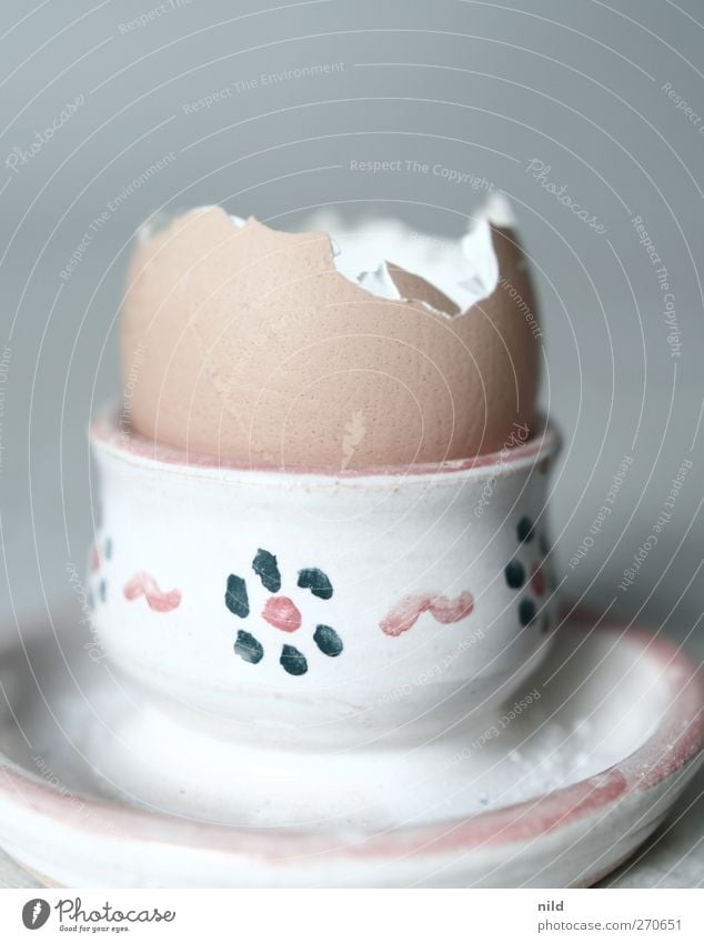 Frühstücksrest Lebensmittel Ei Eierbecher Ernährung braun grau leer Eierschale Farbfoto Innenaufnahme Studioaufnahme Textfreiraum oben Hintergrund neutral