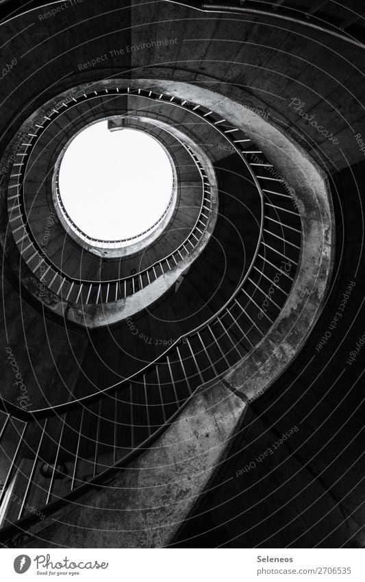 Trepp aufwärts Treppe Wendeltreppe Treppengeländer Menschenleer Architektur Treppenhaus Treppenabsatz Geländer abwärts